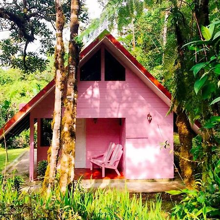 Cabanas Las Orquideas Zapotal (San Jose) Exterior foto