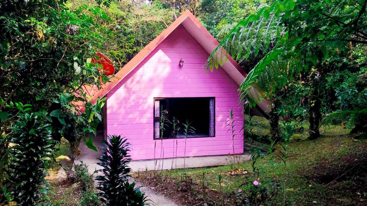 Cabanas Las Orquideas Zapotal (San Jose) Quarto foto