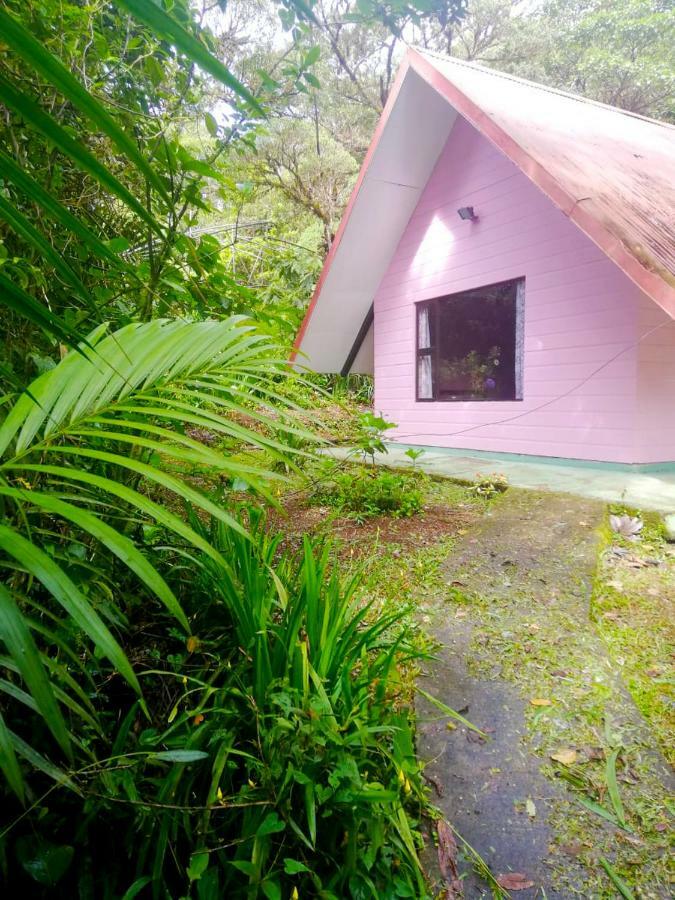 Cabanas Las Orquideas Zapotal (San Jose) Quarto foto