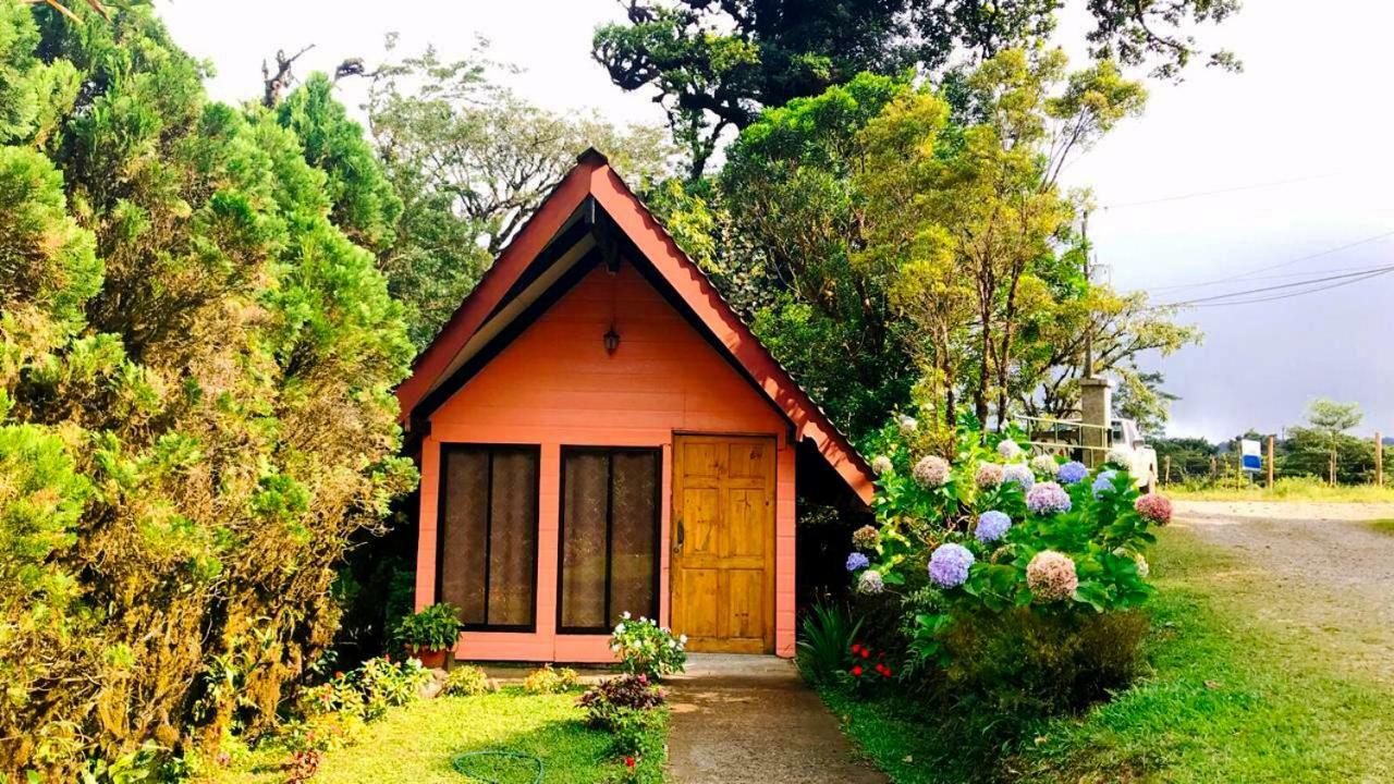 Cabanas Las Orquideas Zapotal (San Jose) Quarto foto