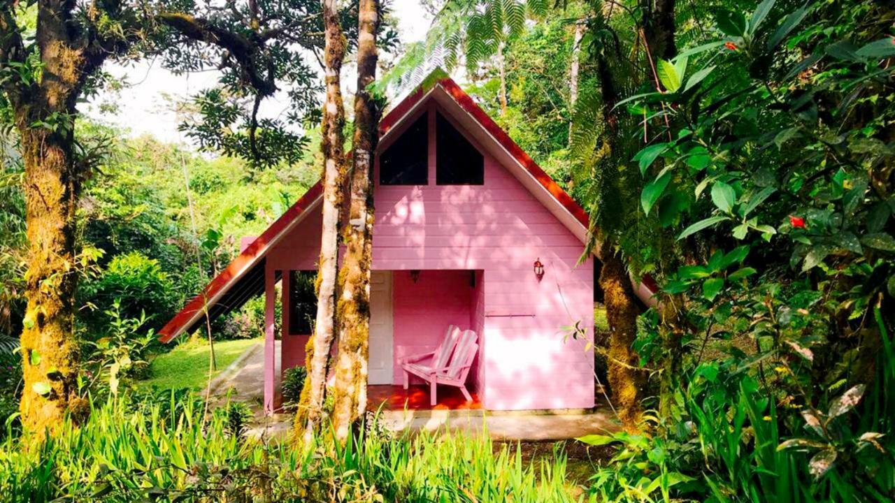 Cabanas Las Orquideas Zapotal (San Jose) Exterior foto