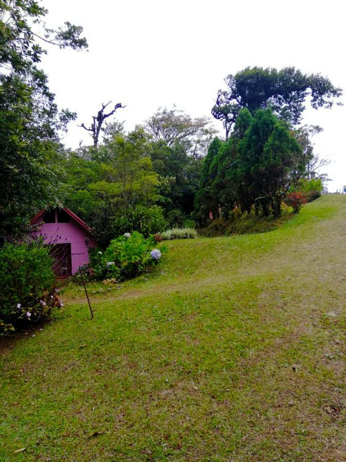 Cabanas Las Orquideas Zapotal (San Jose) Exterior foto